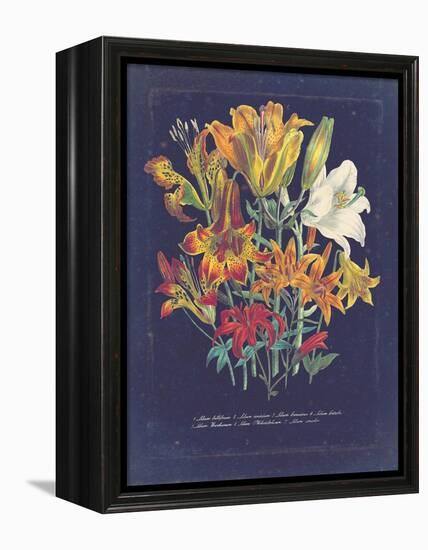 Vintage Dark Floral on Indigo I-null-Framed Stretched Canvas