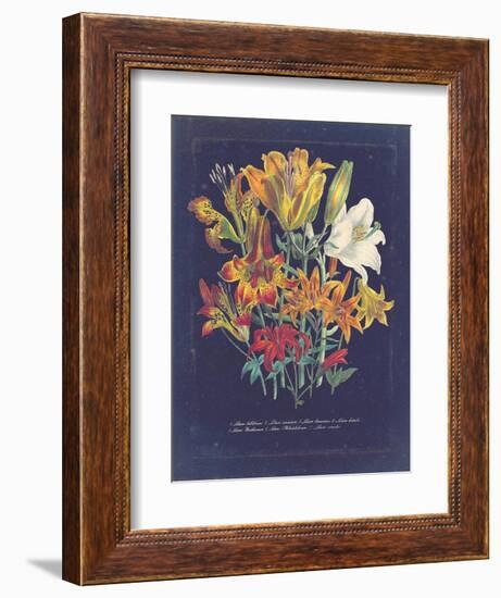 Vintage Dark Floral on Indigo I-null-Framed Premium Giclee Print