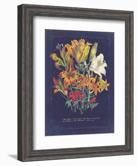 Vintage Dark Floral on Indigo I-null-Framed Art Print