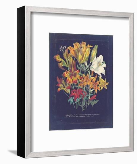 Vintage Dark Floral on Indigo I-null-Framed Art Print