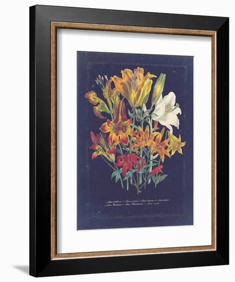 Vintage Dark Floral on Indigo I-null-Framed Art Print