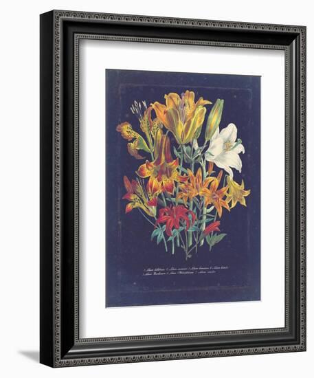 Vintage Dark Floral on Indigo I-null-Framed Art Print