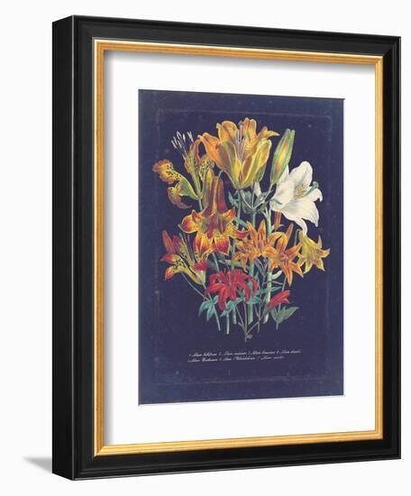 Vintage Dark Floral on Indigo I--Framed Art Print