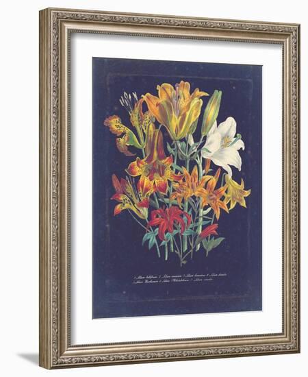 Vintage Dark Floral on Indigo I-null-Framed Art Print