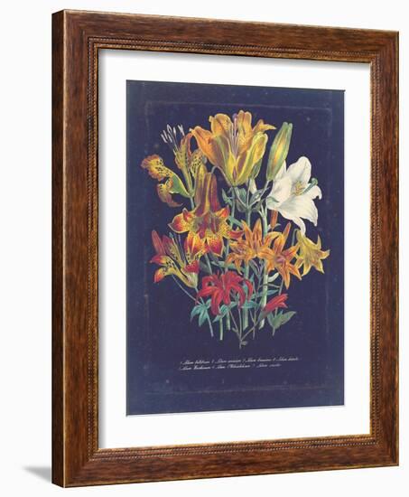 Vintage Dark Floral on Indigo I-null-Framed Art Print