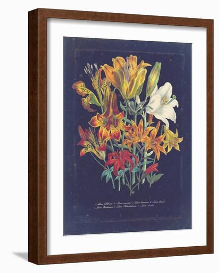 Vintage Dark Floral on Indigo I-null-Framed Art Print