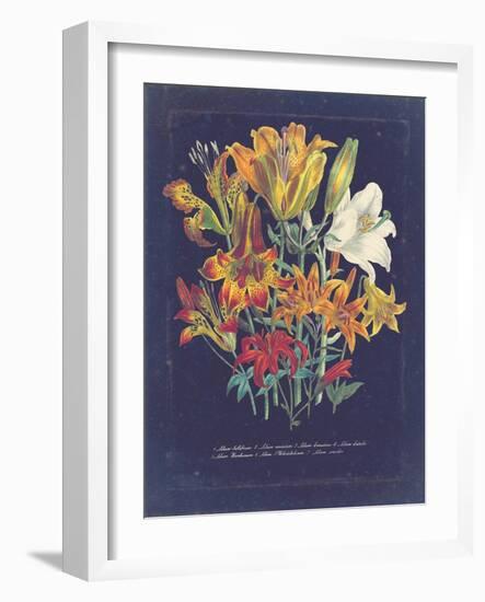 Vintage Dark Floral on Indigo I-null-Framed Art Print