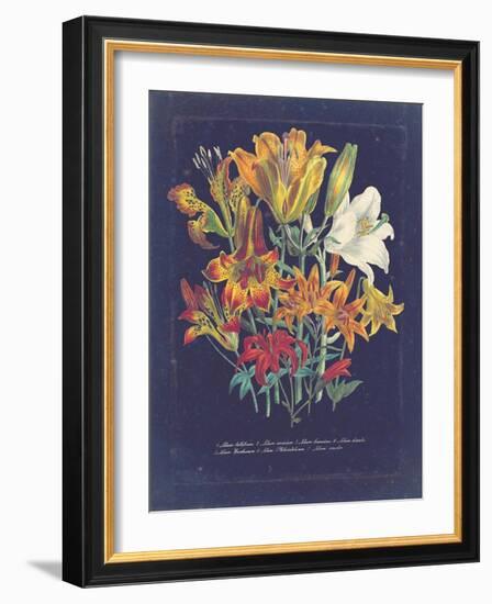 Vintage Dark Floral on Indigo I-null-Framed Art Print