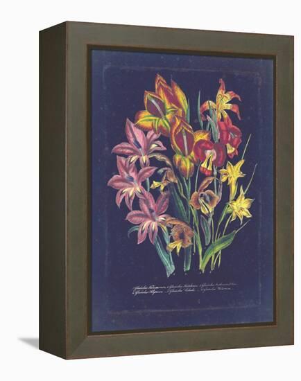 Vintage Dark Floral on Indigo II-null-Framed Stretched Canvas