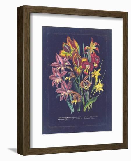 Vintage Dark Floral on Indigo II-null-Framed Premium Giclee Print