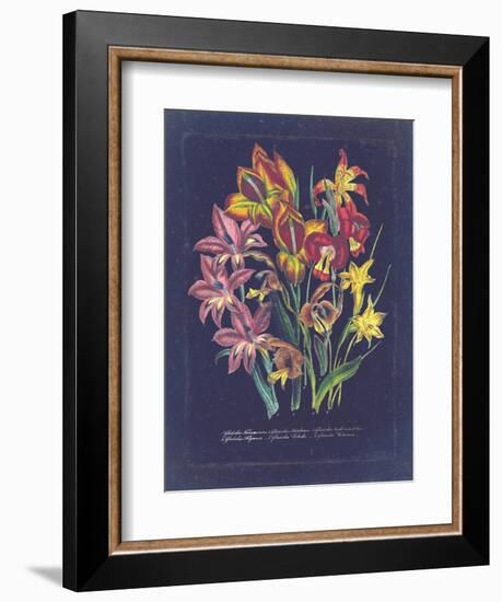 Vintage Dark Floral on Indigo II-null-Framed Premium Giclee Print