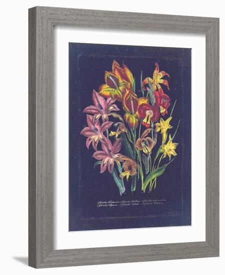 Vintage Dark Floral on Indigo II-null-Framed Art Print