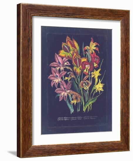 Vintage Dark Floral on Indigo II-null-Framed Art Print