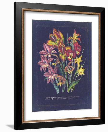 Vintage Dark Floral on Indigo II-null-Framed Art Print