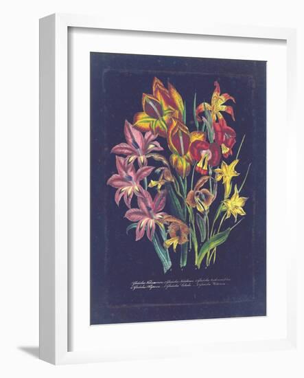 Vintage Dark Floral on Indigo II-null-Framed Art Print