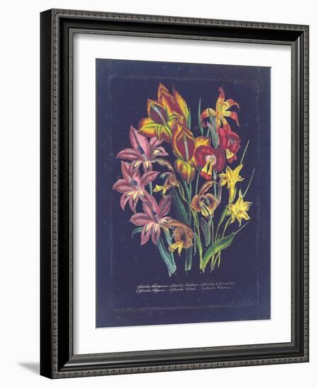 Vintage Dark Floral on Indigo II-null-Framed Art Print