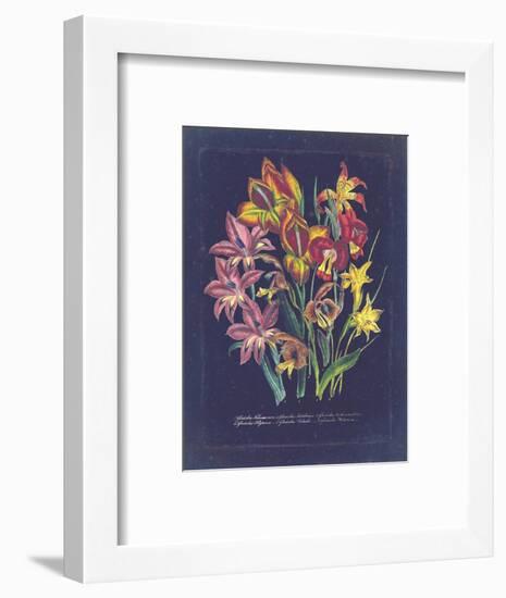 Vintage Dark Floral on Indigo II-null-Framed Art Print