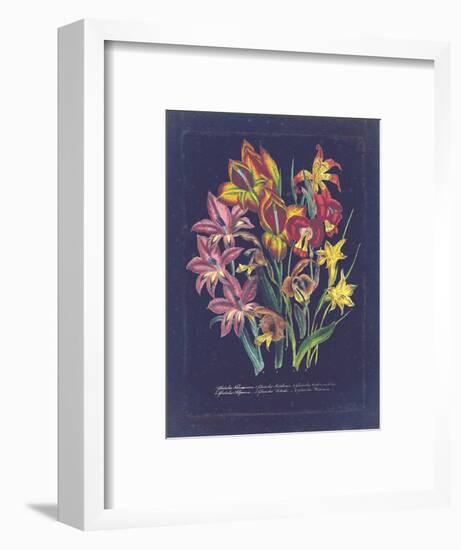 Vintage Dark Floral on Indigo II-null-Framed Art Print