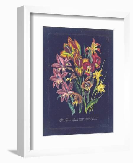 Vintage Dark Floral on Indigo II-null-Framed Art Print