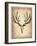 Vintage Deer Scull-NaxArt-Framed Art Print