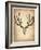 Vintage Deer Scull-NaxArt-Framed Art Print