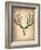 Vintage Deer Scull-NaxArt-Framed Art Print