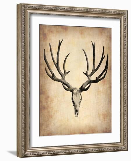 Vintage Deer Scull-NaxArt-Framed Art Print