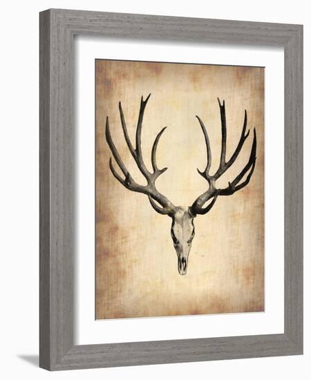 Vintage Deer Scull-NaxArt-Framed Art Print