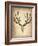 Vintage Deer Scull-NaxArt-Framed Art Print