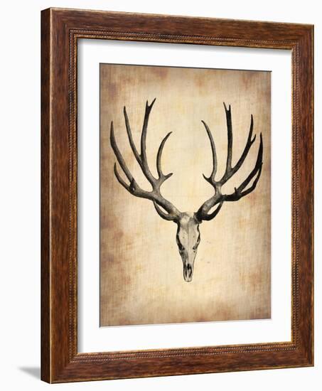 Vintage Deer Scull-NaxArt-Framed Art Print