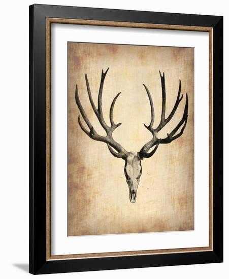 Vintage Deer Scull-NaxArt-Framed Art Print