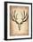 Vintage Deer Scull-NaxArt-Framed Art Print