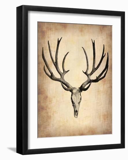 Vintage Deer Scull-NaxArt-Framed Art Print