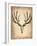 Vintage Deer Scull-NaxArt-Framed Art Print