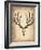 Vintage Deer Scull-NaxArt-Framed Art Print