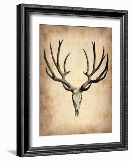 Vintage Deer Scull-NaxArt-Framed Art Print