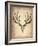 Vintage Deer Scull-NaxArt-Framed Art Print