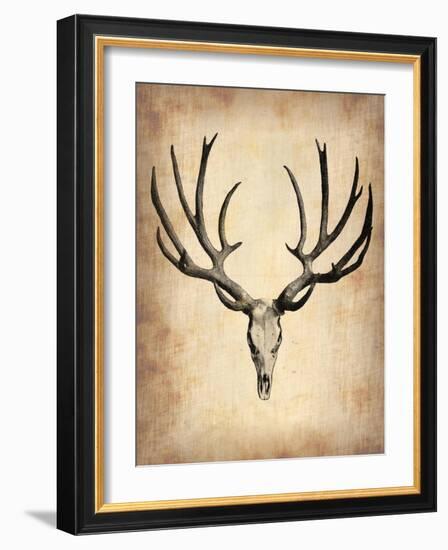 Vintage Deer Scull-NaxArt-Framed Art Print