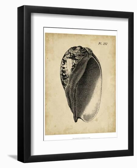 Vintage Diderot Shell IV-Vision Studio-Framed Art Print