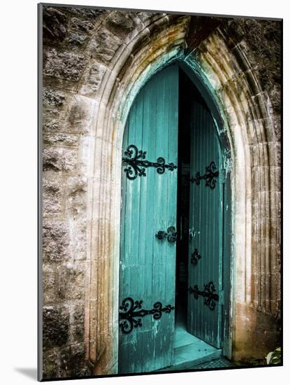 Vintage Door-Sheldon Lewis-Mounted Photographic Print