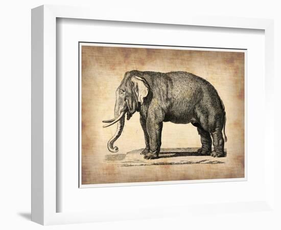 Vintage Elephant-NaxArt-Framed Art Print