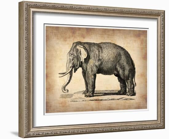 Vintage Elephant-NaxArt-Framed Art Print