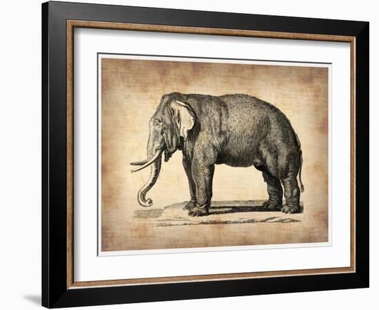 Vintage Elephant-NaxArt-Framed Art Print