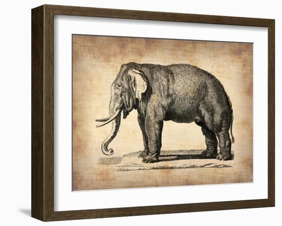 Vintage Elephant-NaxArt-Framed Art Print