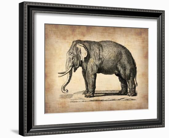 Vintage Elephant-NaxArt-Framed Art Print