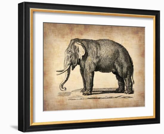 Vintage Elephant-NaxArt-Framed Art Print