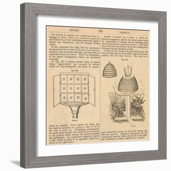 Vintage Encyclopedia "Apiary to Beehive"-Piddix-Framed Art Print