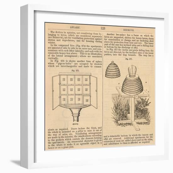 Vintage Encyclopedia "Apiary to Beehive"-Piddix-Framed Art Print