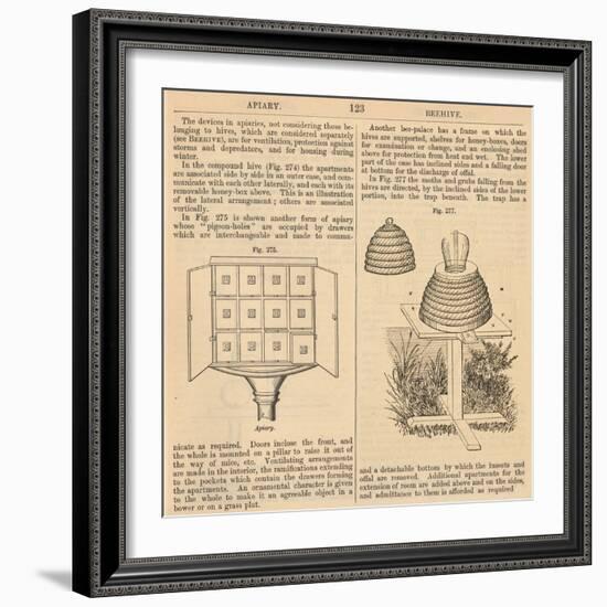 Vintage Encyclopedia "Apiary to Beehive"-Piddix-Framed Art Print