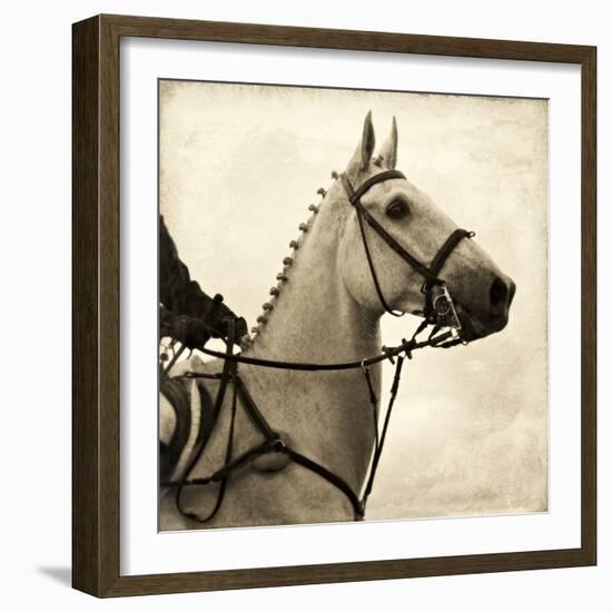 Vintage Equestrian - Counter-null-Framed Giclee Print